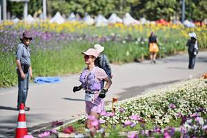 BIB: 
                            <button type="button" onclick="openModal(27793762)" class="btn btn-primary btn-sm float-right btn-popup" data-toggle="modal" data-target=".modal-high-quality">
                        <i class="fas fa-shopping-cart"></i> Add to Cart
                    </button>
                                            <button type="button" onclick="isThisMe(27793762, true)" class="btn btn-success btn-sm float-right btn-popup btn-isme hidden" data-toggle="tooltip" data-placement="bottom" title="นี่คือรูปของคุณใช่ไหม คลิกที่นี่เพื่อเอาเข้าอัลบั้ม">
                        <i class="fas fa-plus"></i> Add to album
                    </button>
                    <button type="button" onclick="isThisMe(27793762, false)" class="btn btn-warning btn-sm float-right btn-popup btn-isnotme hidden">
                        <i class="fas fa-ban"></i> Remove from album
                    </button>